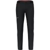 Pánske nohavice Salewa Pedroc 4 DST M Reg Pants M