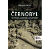 Černobyl - Serhii Plokhy