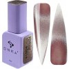 DNKa' Color Gel Polish Bohemian Cat's Eye 0019 12ml