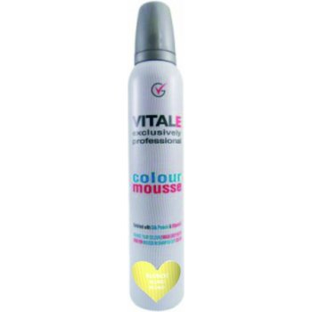 Vitale Exclusively farbiace penové tužidlo Blonde - Blond 200 ml