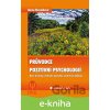 E-kniha Průvodce pozitivní psychologií - Alena Slezáčková