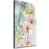 Vertikálny foto obraz na plátne do obývačky Orchidea 50x100 cm