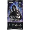 Skull Labs Perfect Amino 15 g