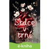 E-kniha Srdce v trní - Monika Kopčilová Mešková