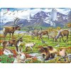 Puzzle Arktické vnútrozemie -zvieratá Larsen FH14-ZZ