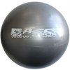 Rehabilitačná lopta Overball Acra 26 cm - Strieborná