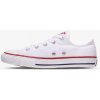 Converse Chuck Taylor All Star Youth Ox Optical White