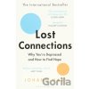 Lost Connections - Johann Hari