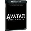 Avatar: Oheň a popol 4K Ultra HD BD + BD