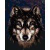 ZUTY Maľovanie podľa čísel - HLAVA HUSKYHO NA TMAVOM POZADÍ Rámovanie: bez rámu a bez vypnutia plátna, Rozmer: 80x100 cm