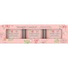 YANKEE CANDLE Fresh Cut Roses 3× 37 g