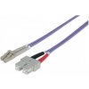 Intellinet 750929