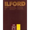 13x18/ 100 MGFBWT.24K Multigrade Warmtone čiernobiely papier, ILFORD