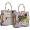 Zavlažovací set Môj balkón s Amico+ – 30 črepníkov, tlakový regulátor