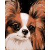 ZUTY Maľovanie podľa čísel - PAPILLON (MYROSLAVA VOLOSCHUK) Rámovanie: vypnuté plátno na rám, Rozmer: 40x50 cm