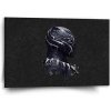 Sablio Obraz BLACK PANTHER z profilu Vesmír - 60x40 cm