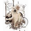 Zuty – Maľovaný Gandalf (Pán Prsteňov), 40 × 50 cm, bez rámu a bez napnutia plátna 8596530237563