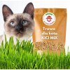 Semená trávy pre mačku RajOgrodnika Kici Mix 100 g zmes obilnín