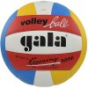 Míč volejbal TRAINING MINI COLOR BV4041S