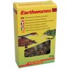 Lucky Reptile Earthworms 20 g