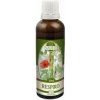 Naděje Respiro - tinktúra z bylín T52 Objem: 50 ml