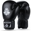 Boxerské rukavice DBX BUSHIDO ARB-Black 10 oz