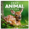 NOTIQUE Poznámkový kalendár Mláďatá 2027, 30 x 30 cm