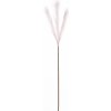 Dekoria Pampová tráva 100cm light pink, 2 x 2 x 100 cm