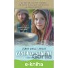 E-kniha Cesta ku studni - Diana Wallis Taylor