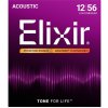 Elixir 16077 Nanoweb 12-56