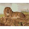 Lev na savane, 40×50 cm, vypnuté plátno na rám 5013981