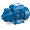 Periferálne čerpadlo Pedrollo CP PKm 100 230V