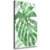 Vertikálny foto obraz na plátne do obývačky Monstera 50x100 cm