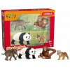 Schleich Wild Life Asia startovací sada