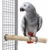 Kávovníkové bidlo pre papagáje a vtáky L