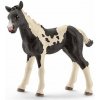 SCHLEICH Horse Club® 13803 Kůň Pinto - hříbě