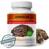MycoMedica Coriolus 50 %, 90 kapsúl