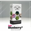 Dutch Passion AUTO Blueberry semena neobsahují THC 3 ks