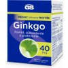 GS Ginkgo 40 mg tabliet 90+30