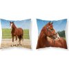 DETEXPOL Obliečka na vankúšik Kôň v ohrade micro Polyester, 40/40 cm