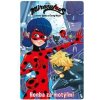 Čarovná Lienka a Čierny Kocúr - Komiksové príbehy 2 - Kolektív autorov