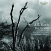 J.S. BACH: Trio Sonatas BWV525-530; Mario Folena, Roberto Loreggian (CD) (BRILLIANT CLASSICS)