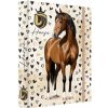 Box na zošity A5 Jumbo MAX S9 Horse - kôň