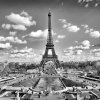 Dimex fototapeta Paríž Šedá L-303 | 220 x 220 cm (Vliesová fototapeta | lepidlo zdarma)