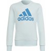 Sweatshirt adidas Big Logo Swt Jr HM8707 (108586) 152 cm