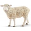 Ovce Schleich