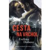 Cesta na vrchol