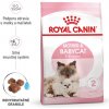 Royal Canin Mother & Babycat granule pre mačatá a laktujúce mačky 2 kg