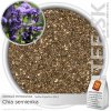 ZDRAVÉ POTRAVINY Chia semienka - Salvia Hispanica (500g)