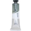 Senndelier Rive Gauche olejová farba 029 silver 40 ml